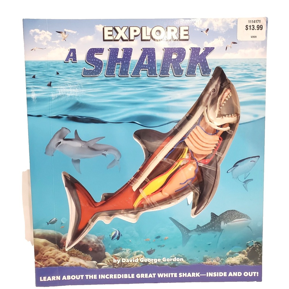 Explore a Shark by David George Gordon Inside and Out Nonfiction Book